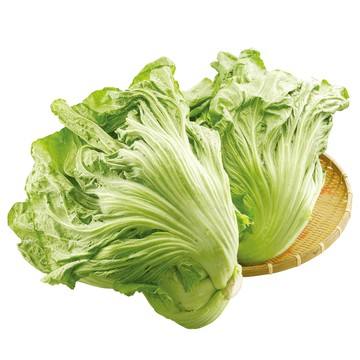 [家速配]台灣芥菜(每袋約700克)