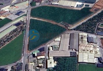 屏東市區旁龍華段雙面臨路三角窗農地（左）｜屏東縣屏東市龍華段