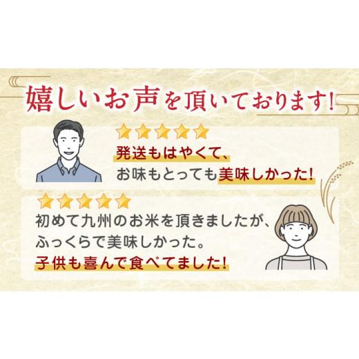 ふるさと納税 熊本県 山鹿市  ヒノヒカリ 無洗米 5kg定期便 5kg 無洗米 精米 特A ヒノヒカリ ひのひかり …