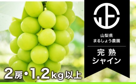 ＜2024年先行予約＞ シャインマスカット 2房 1.2kg以上 098-005