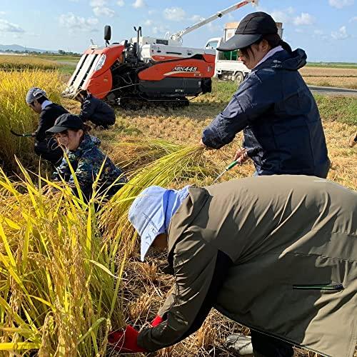 水菜土農園令和4年産 秋田県産 あきたこまち 30kg (5kg×6袋) 古代米お試し袋付き