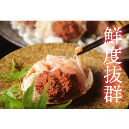 ふるさと納税 越前がに「せいこがに」身出し甲羅盛り 150g × 5杯 福井県鯖江市