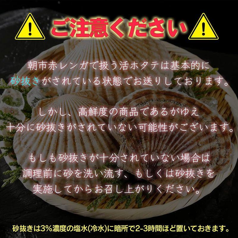 北海道産 活ホタテ 約3kg 殻付きホタテ 海鮮ギフト お取り寄せグルメ 貝柱 帆立