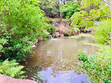 淡水臨溪天大地大天上人間絕美農場｜新北市淡水區中和段