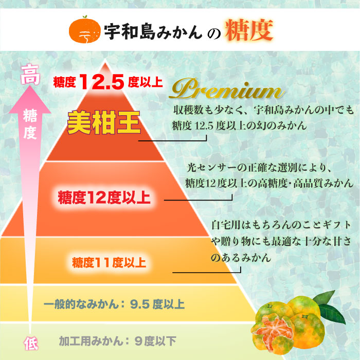 [予約 2023年11月1日-11月30日の納品] 美柑王 宇和島みかん Sサイズ 約5kg 愛媛県 うわじま 糖度12.5度 ミカン 産地箱 上級品 冬ギフト お歳暮 御歳暮