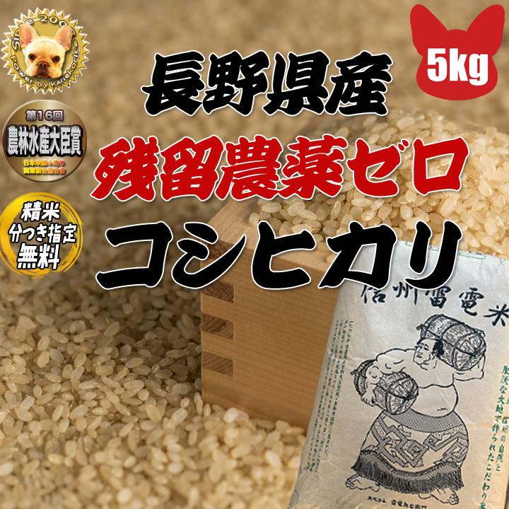 令和5年産 長野県東御産 コシヒカリ 玄米 5kg　残留農薬ゼロ　精米＆分搗き指定無料