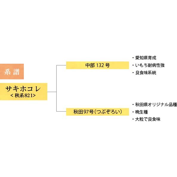 サキホコレ 5年産 特別栽培米 化学肥料９割減 秋田県おばこ産 (2kg, 玄米)