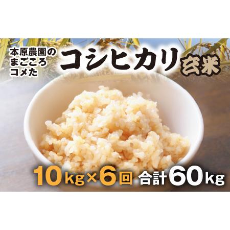 ふるさと納税  本原農園のまごころコメた 福井県産 コシヒカリ 10kg × 6回 計60k.. 福井県坂井市