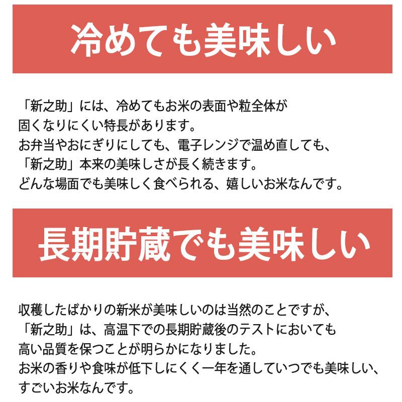 お米 5kg 白米新潟産新之助 しんのすけ プレミアム米 ブランド米  ギフト 内祝い