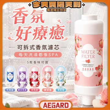 【沐浴清香天天相伴】香氛濾芯 蓮蓬頭香氛濾芯 蓮蓬頭濾芯 沐浴過濾器 現貨 蓮蓬頭過濾器 沐浴濾芯 花灑過濾器