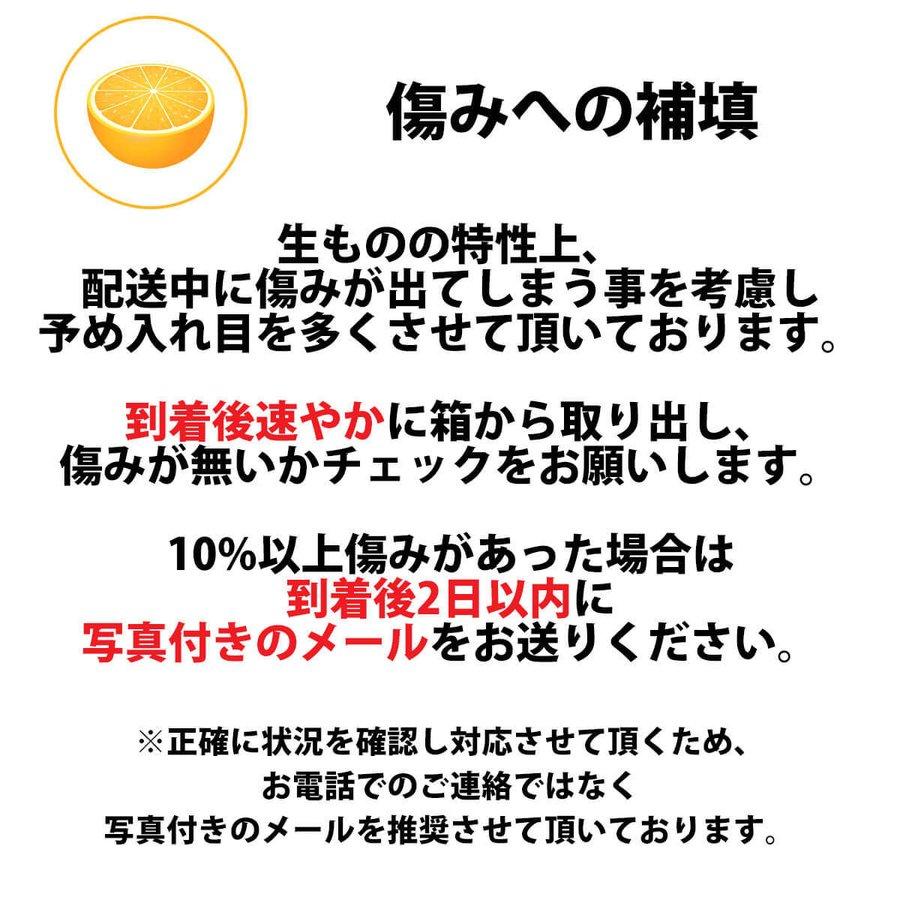 みかん せとか 甘平 愛媛 食べ比べ 詰め合わせ セット 訳あり 3kg 各1.5kg 高級 希少 豪華 010139000406