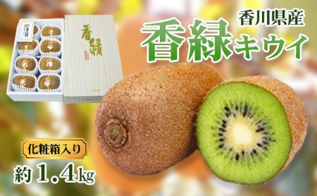 香緑（こうりょく）キウイ 約1.4kg 化粧箱入り