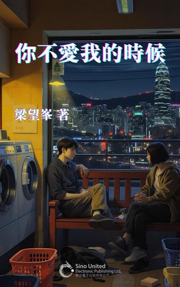 【電子書】你不愛我的時候