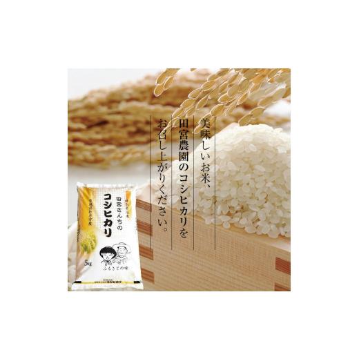 ふるさと納税 茨城県 行方市 L-9 　令和5年産田宮さんちのコシヒカリ 5kg×12回