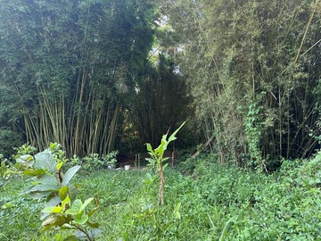 鴻禧山莊旁璀璨農地單坪僅2.88萬｜桃園市大溪區信義段