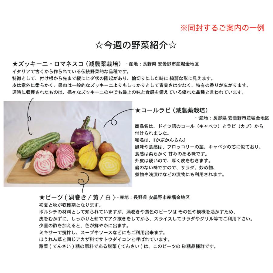 季節のお野菜・果物セット 中