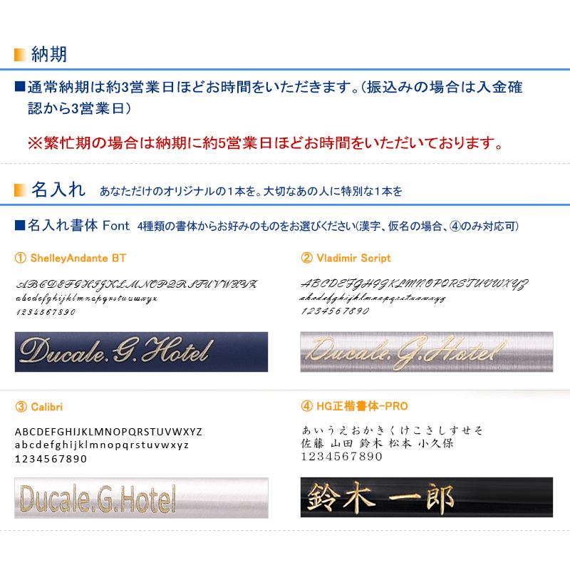 プラチナ PLATINUM プレジデント PRESIDENT 万年筆 18K  極細字 EF 0.38mm 細字 F 0.5mm 中字 M 0.7mm 太字 B 0.8mm ブラック ワインレッド GT PTB-20000P