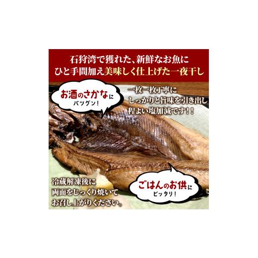 ふるさと納税 北海道 石狩市 10-122 一夜干しニシン 12枚入り