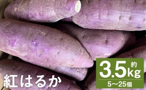 紅はるか 約3.5kg(5～25個) さつまいも 芋