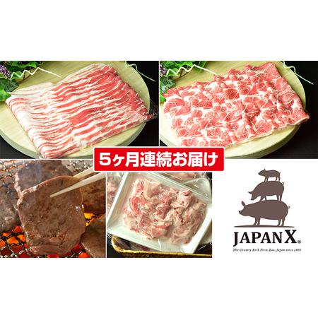 ふるさと納税 定期便 5ヶ月 JAPAN X 豚肉 ＆ 特選 厚切り 牛タン バラエティ セット 1.7kg バラ 肩ロース 小間 牛たん 宮城県蔵王町