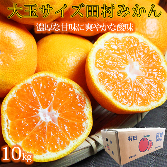 高級ブランド田村みかん　１０kg　大玉サイズ ※2023年11月下旬～2024年1月下旬頃に順次発送予定