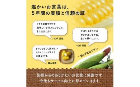  宮崎県産 とうもろこし 井上農園産 スイートコーン ゴールドラッシュ 9.0kg 