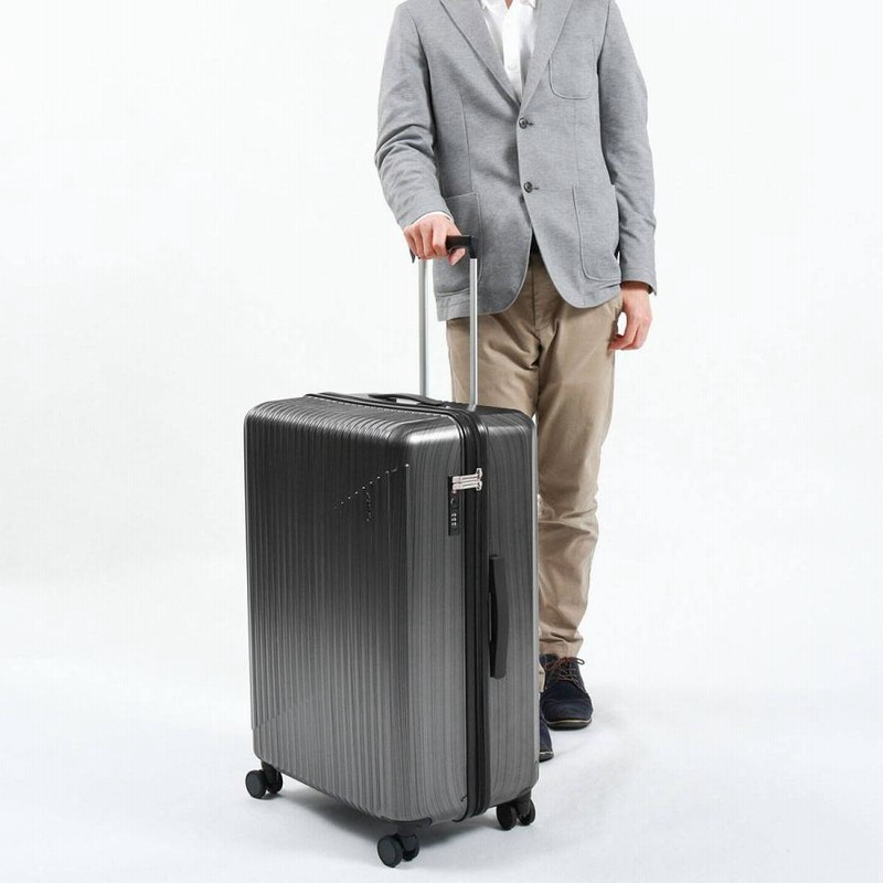 ACE/エース スーツケースTSAロック キャリーケース シャンパングレー　旅行 ace. TSAロック付きキャリーケース グレー ACE/エース スーツ