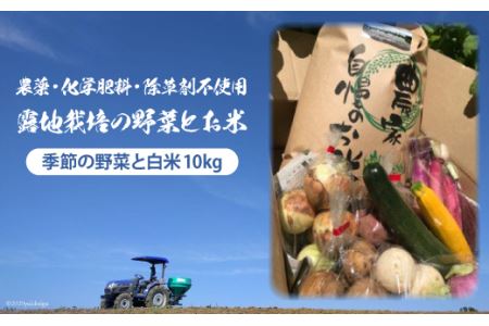 有機農家の季節の野菜と白米10kgのセット   風の丘ファーム   埼玉県 小川町 [020] 野菜 やさい 米 お米 こめ コメ 精米 白米 セット 詰め合わせ