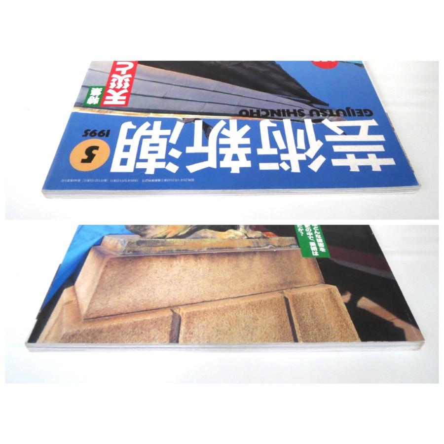 芸術新潮 1995年5月号「天災と闘った美術」阪神大震災 文化財の被害 美術史 噴火 洪水 ポンペイ 安政大地震 関東大震災 山脇道子