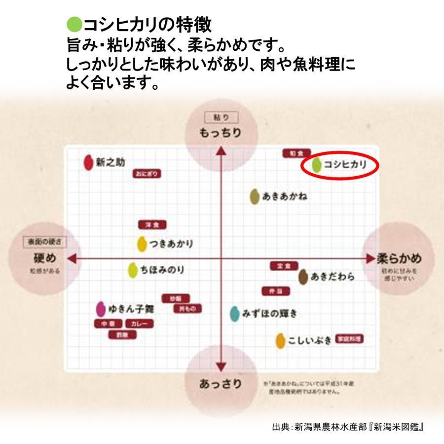 米 お米 20kg コシヒカリ こしひかり 国産 5kg×4袋 送料無料 令和4年産