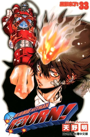 【電子書】家庭教師HITMAN REBORN! (33)