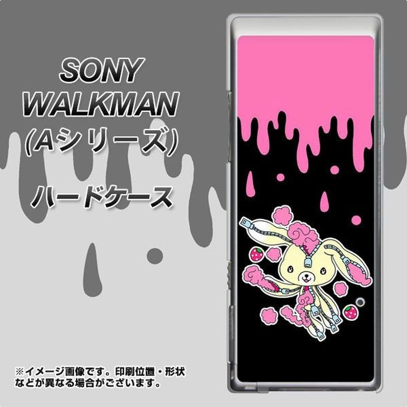 SONY ウォークマン NW-A10シリーズ NW-A10 ハードケース カバー AG814