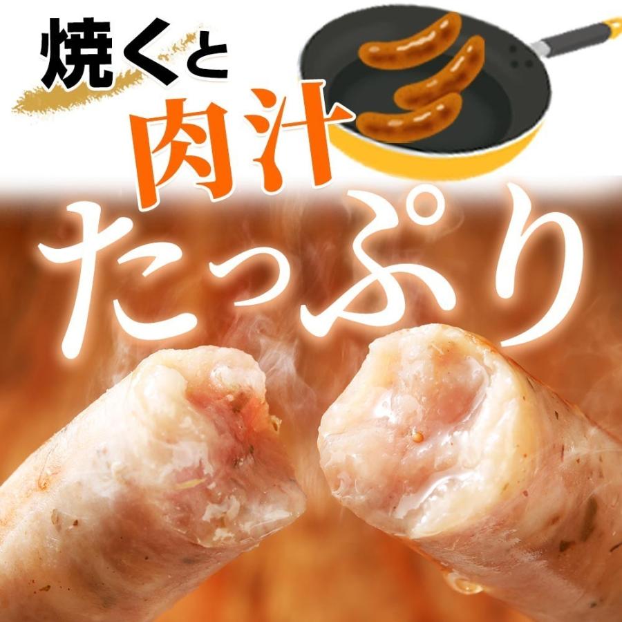 やまと豚 生ウインナー (プレーン) セット 1kg NS-CB [冷凍] お歳暮 御歳暮 2023 肉 食品 内祝い ギフト 食べ物 ウインナー ソーセージ 無添加 お肉