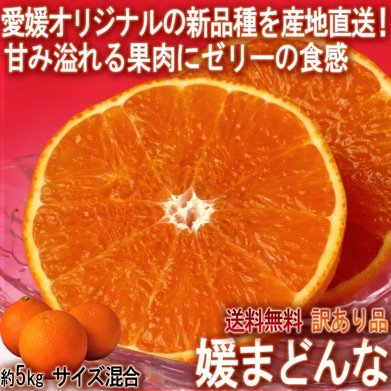 産地直送 媛まどんな 約5kg サイズ混合 訳あり 愛媛県産 個人農家産 味わい抜群の愛まどんな！プルプルの甘い果肉に爽やかな香り