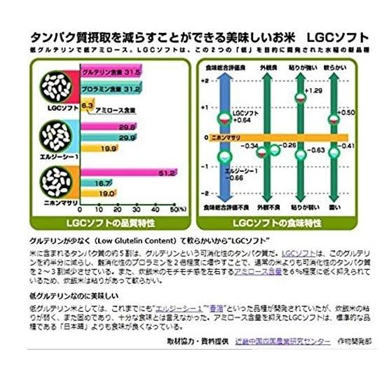 精米済み 新米 令和5年産   岐阜県産 お米 LGCソフト 5kg タンパク質制限 Lowグルテリン米