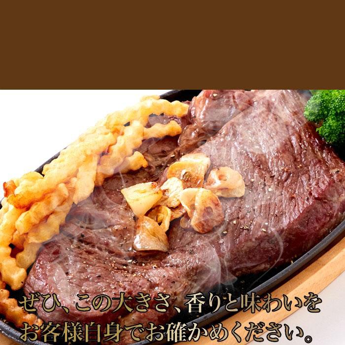 超特大!!通常のステーキ3枚分!!牛肩ロース熟成肉1ポンドステーキ(450g）