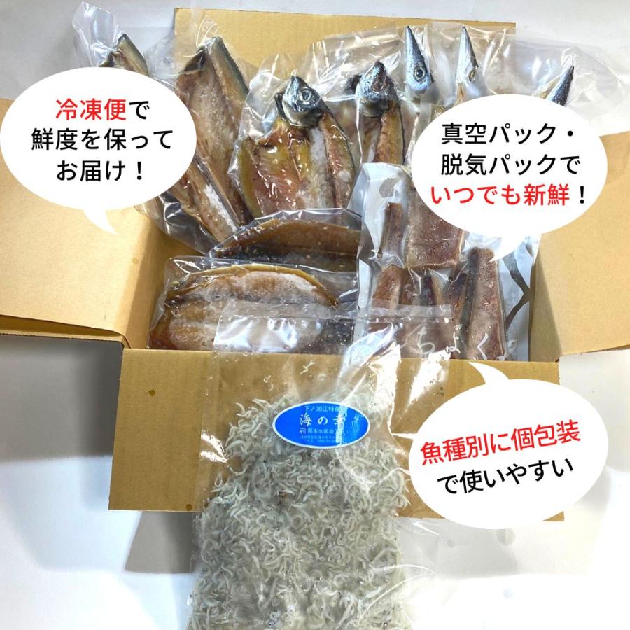 干物セット 高知県産 無添加 詰め合わせ 5種10枚 約1kg 定番 アジ サバ カマス 土佐清水 国産 産地直送 お歳暮 2023 ギフト