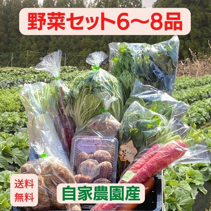 野菜セット6〜8品セット 送料無料 有機栽培