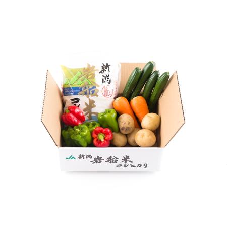 ふるさと納税 A4031 新潟県岩船米コシヒカリと季節の野菜セット(1) 新潟県村上市