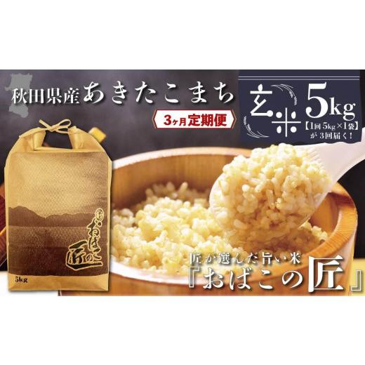 ふるさと納税 秋田県 大仙市 秋田県産おばこの匠あきたこまち　5kg （5kg×1袋）玄米