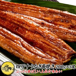 高知県四万十産 うなぎ 超特大サイズ 蒲焼き 長焼き 600g 3尾×約200g