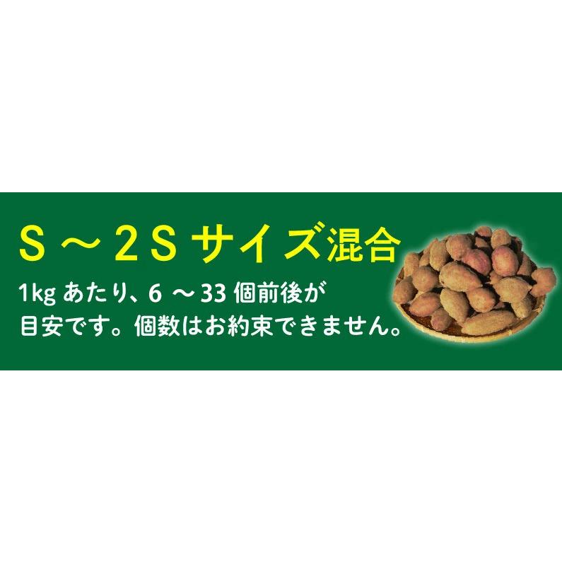 ポイント5倍 御歳暮 ギフト 安納芋 有機 プチ安納芋 安納いも あんのう芋 蜜芋 離乳食 五島列島 オーガニック S 2Sサイズ 3kg Y常