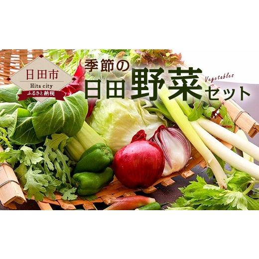 ふるさと納税 大分県 日田市 Ａ−０５　季節の 日田野菜 セット 詰め合せ