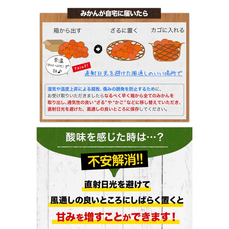 小玉 みかん 訳あり 送料無料 ミカン わけあり 小玉 小粒 送料無料 フルーツ お取り寄せ 1kg 温州 果物 3s-sサイズ 11月中旬-12月上旬頃より発送予定