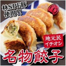 小見川名物餃子　25個入×2箱