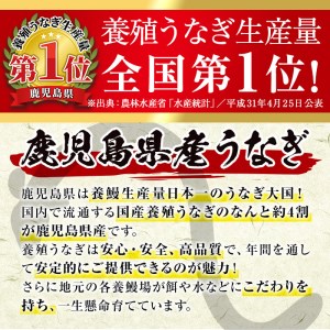 厳選！鹿児島県産うなぎ蒲焼　大５尾（約800g） 国産 うなぎ 鰻 蒲焼 冷凍 鹿児島