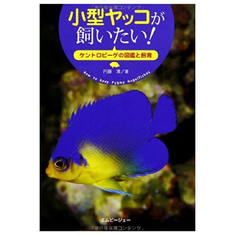 小型ヤッコが飼いたい (アクアライフの本)