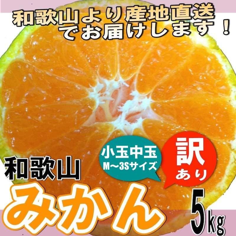 和歌山県産 訳あり みかん 小玉中玉 (3S-Mサイズ) 5kg (傷あり サイズ不揃い ご自宅用) 10月中旬以降より発送開始