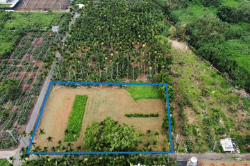新社東山街旁臨4米路地形方正農地｜台中市新社區大南段大南小段