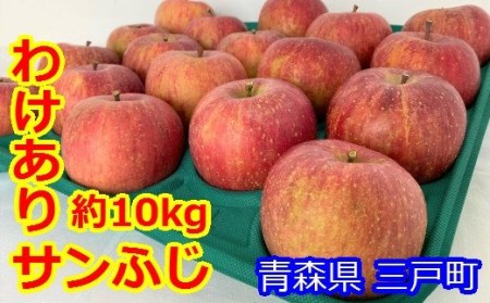 りんご「サンふじ」28～40玉（約10kg）